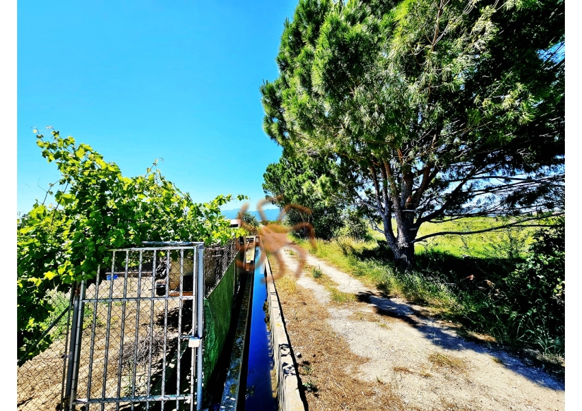 Sad pomarańczowy z małym budynkiem pod Cullera, Walencja